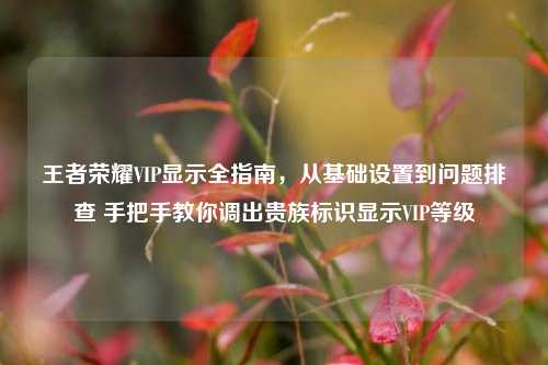 王者荣耀VIP显示全指南,从基础设置到问题排查 手把手教你调出贵族标识显示VIP等级