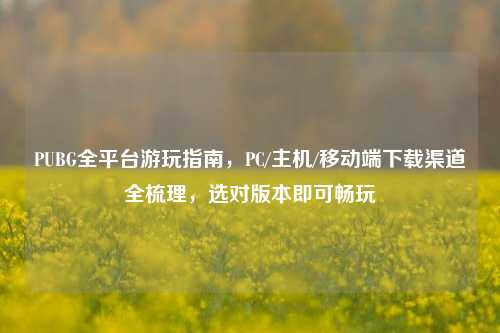 PUBG全平台游玩指南，PC/主机/移动端下载渠道全梳理，选对版本即可畅玩