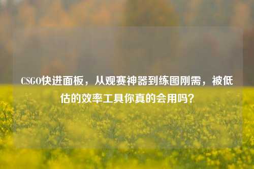 CSGO快进面板，从观赛神器到练图刚需，被低估的效率工具你真的会用吗？
