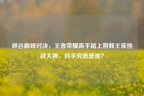峡谷巅峰对决，王者荣耀高手踏上荆棘王座挑战大神，对手究竟是谁？
