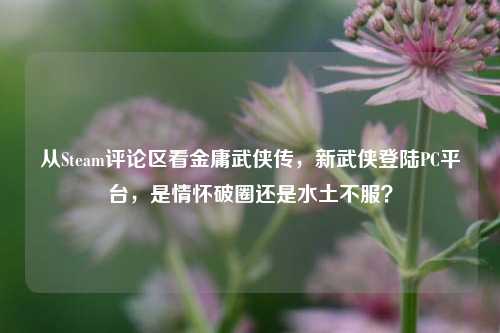 从Steam评论区看金庸武侠传，新武侠登陆PC平台，是情怀破圈还是水土不服？
