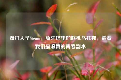 双打大学Steam,象牙塔里的联机乌托邦,藏着我们最滚烫的青春副本