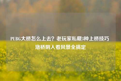 PUBG大桥怎么上去？老玩家私藏3种上桥技巧 堵桥阴人看风景全搞定