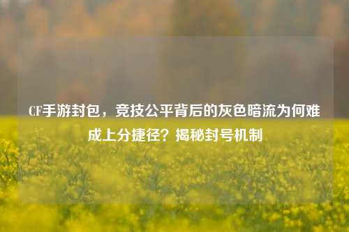 CF手游封包，竞技公平背后的灰色暗流为何难成上分捷径？揭秘封号机制