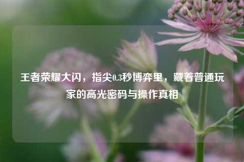 王者荣耀大闪,指尖0.3秒博弈里,藏着普通玩家的高光密码与操作真相
