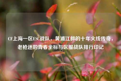 CF上海一区ESC战队,黄浦江畔的十年火线传奇,老枪迷的青春坐标与区服战队排行印记