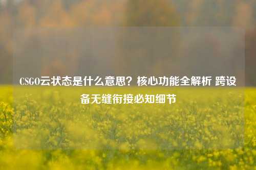 CSGO云状态是什么意思？核心功能全解析 跨设备无缝衔接必知细节