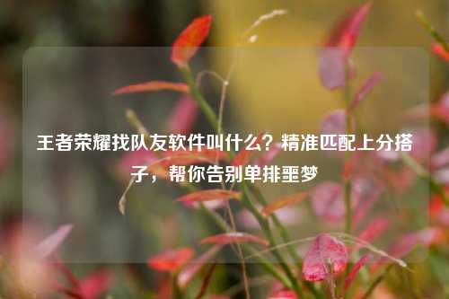 王者荣耀找队友软件叫什么？精准匹配上分搭子，帮你告别单排噩梦
