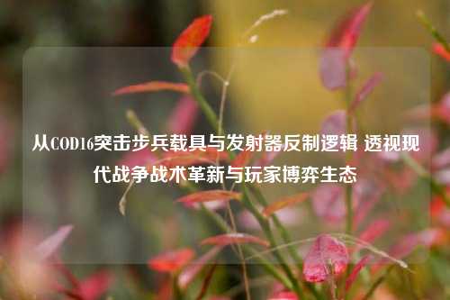 从COD16突击步兵载具与发射器反制逻辑 透视现代战争战术革新与玩家博弈生态