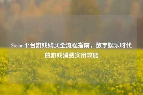 Steam平台游戏购买全流程指南，数字娱乐时代的游戏消费实用攻略