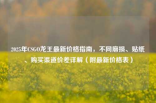 2025年CSGO龙王最新价格指南，不同磨损、贴纸、购买渠道价差详解（附最新价格表）