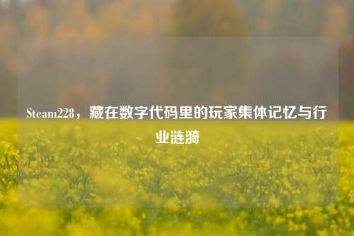 Steam228，藏在数字代码里的玩家集体记忆与行业涟漪