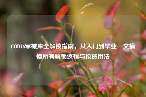 COD16军械库全解锁指南，从入门到毕业一文搞懂所有解锁逻辑与枪械用法