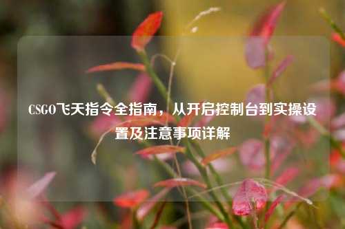 CSGO飞天指令全指南,从开启控制台到实操设置及注意事项详解