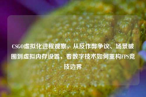 CSGO虚拟化进程观察，从反作弊争议、场景破圈到虚拟内存设置，看数字技术如何重构FPS竞技边界