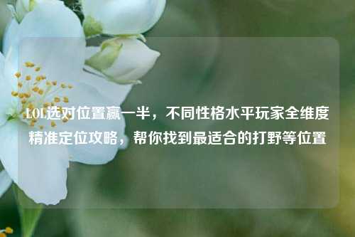 LOL选对位置赢一半，不同性格水平玩家全维度精准定位攻略，帮你找到最适合的打野等位置