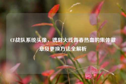 CF战队系统头像，镌刻火线青春热血的集体徽章及更换方法全解析