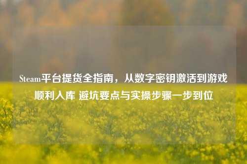 Steam平台提货全指南,从数字密钥激活到游戏顺利入库 避坑要点与实操步骤一步到位
