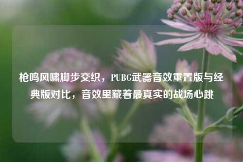 枪鸣风啸脚步交织，PUBG武器音效重置版与经典版对比，音效里藏着最真实的战场心跳
