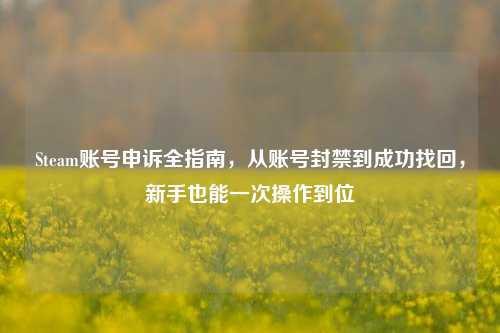 Steam账号申诉全指南，从账号封禁到成功找回，新手也能一次操作到位