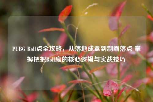 PUBG Roll点全攻略，从落地成盒到制霸落点 掌握把把Roll赢的核心逻辑与实战技巧