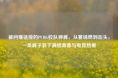 被问爆链接的PUBG校队神裤，从赛场燃到街头，一条裤子装下满格青春与电竞热爱