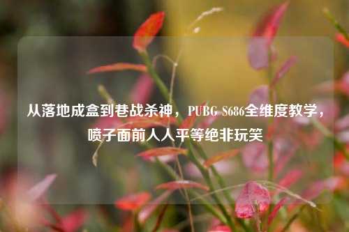 从落地成盒到巷战杀神，PUBG S686全维度教学，喷子面前人人平等绝非玩笑