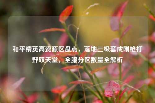 和平精英高资源区盘点，落地三级套成刚枪打野双天堂，全服分区数量全解析