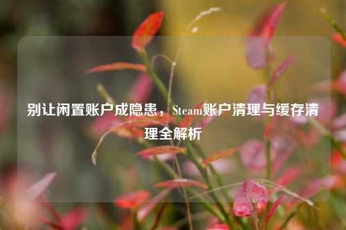 别让闲置账户成隐患,Steam账户清理与缓存清理全解析