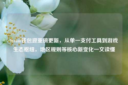 Steam钱包迎重磅更新，从单一支付工具到游戏生态枢纽，地区规则等核心新变化一文读懂