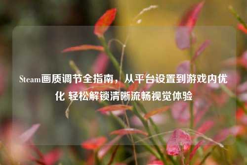 Steam画质调节全指南,从平台设置到游戏内优化 轻松解锁清晰流畅视觉体验