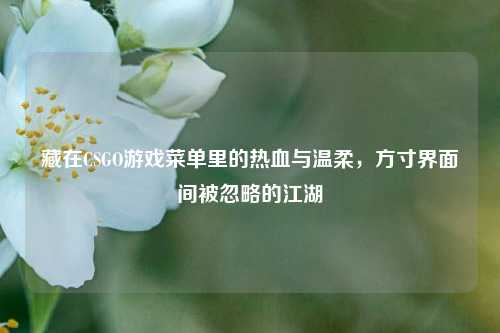 藏在CSGO游戏菜单里的热血与温柔，方寸界面间被忽略的江湖