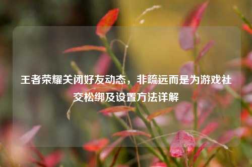王者荣耀关闭好友动态,非疏远而是为游戏社交松绑及设置方法详解