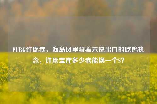 PUBG许愿卷,海岛风里藏着未说出口的吃鸡执念,许愿宝库多少卷能换一个S?