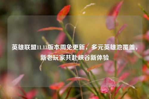 英雄联盟11.13版本周免更新,多元英雄池覆盖,新老玩家共赴峡谷新体验