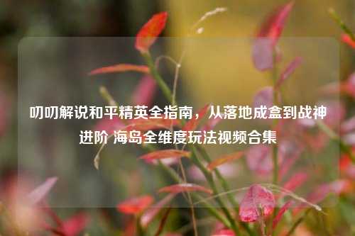 叨叨解说和平精英全指南，从落地成盒到战神进阶 海岛全维度玩法视频合集