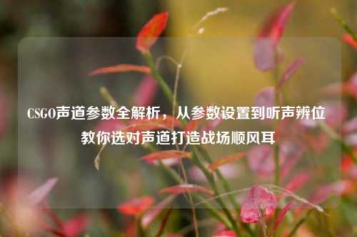 CSGO声道参数全解析，从参数设置到听声辨位 教你选对声道打造战场顺风耳