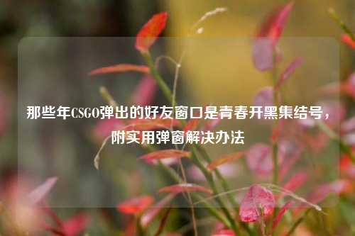 那些年CSGO弹出的好友窗口是青春开黑集结号,附实用弹窗解决办法