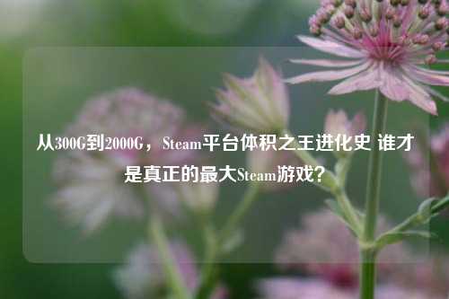 从300G到2000G，Steam平台体积之王进化史 谁才是真正的最大Steam游戏？