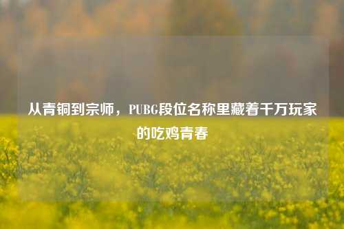 从青铜到宗师，PUBG段位名称里藏着千万玩家的吃鸡青春
