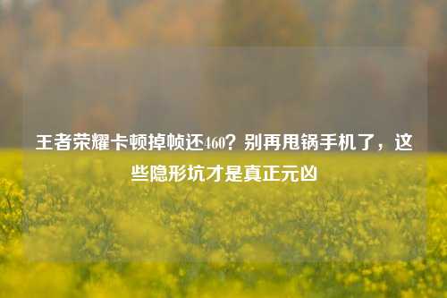 王者荣耀卡顿掉帧还460？别再甩锅手机了，这些隐形坑才是真正元凶