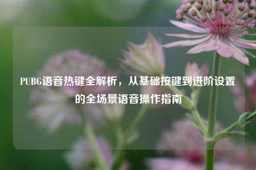PUBG语音热键全解析，从基础按键到进阶设置的全场景语音操作指南