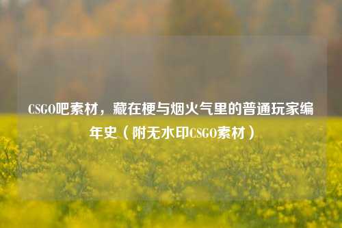 CSGO吧素材,藏在梗与烟火气里的普通玩家编年史(附无水印CSGO素材)