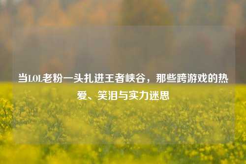 当LOL老粉一头扎进王者峡谷，那些跨游戏的热爱、笑泪与实力迷思