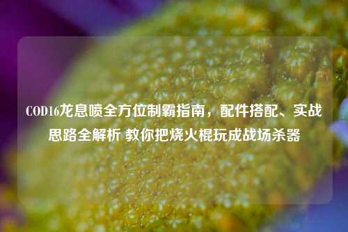 COD16龙息喷全方位制霸指南，配件搭配、实战思路全解析 教你把烧火棍玩成战场杀器