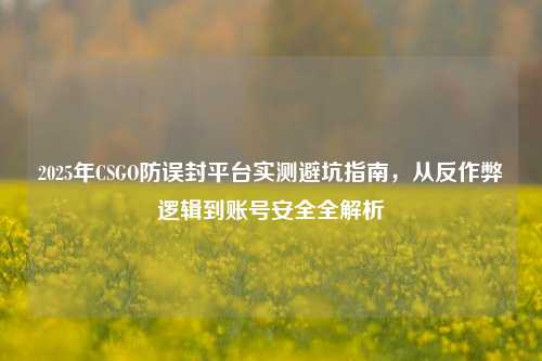 2025年CSGO防误封平台实测避坑指南，从反作弊逻辑到账号安全全解析
