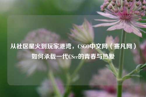 从社区星火到玩家港湾，CSGO中文网（赛凡网）如何承载一代CSer的青春与热爱