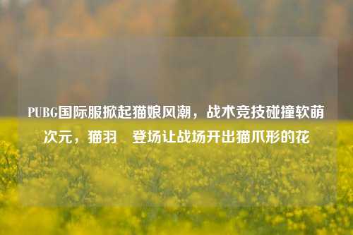 PUBG国际服掀起猫娘风潮,战术竞技碰撞软萌次元,猫羽雫登场让战场开出猫爪形的花
