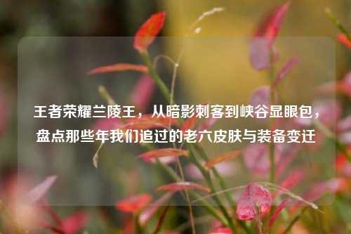 王者荣耀兰陵王，从暗影刺客到峡谷显眼包，盘点那些年我们追过的老六皮肤与装备变迁