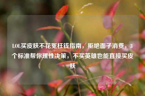 LOL买皮肤不花冤枉钱指南，拒绝面子消费，3个标准帮你理性决策，不买英雄也能直接买皮肤